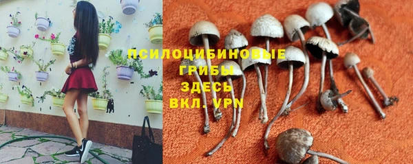 гашик Карталы