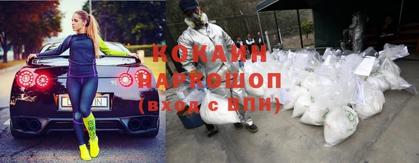 гашик Карталы