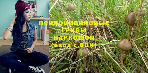 МДМА Карпинск